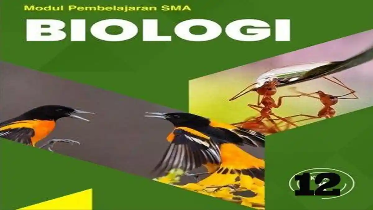 Download Gratis Soal Ujian Sekolah Biologi Kelas 12 dan Kunci Jawaban PDF yang Wajib Kamu Punya Download Gratis Soal Ujian Sekolah Biologi Kelas 12 dan Kunci Jawaban PDF yang Wajib Kamu Punya