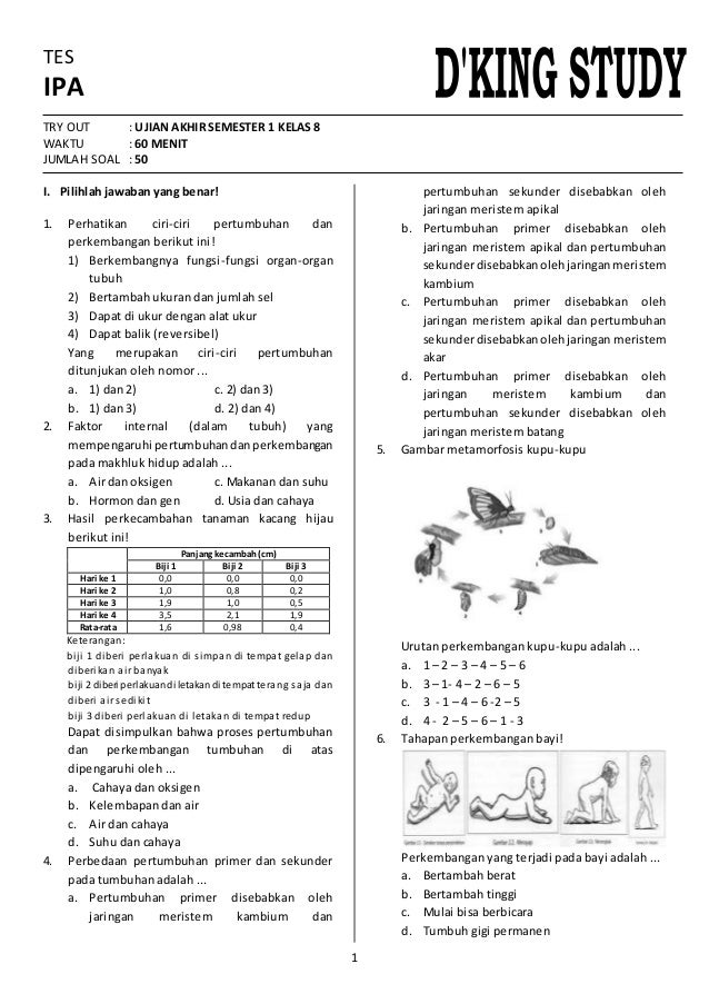 30 Contoh Soal Materi IPA Kelas 8 Semester 1 KTSP Bab Struktur Tubuh yang Sering Muncul di UH 30 Contoh Soal Materi IPA Kelas 8 Semester 1 KTSP Bab Struktur Tubuh yang Sering Muncul di UH